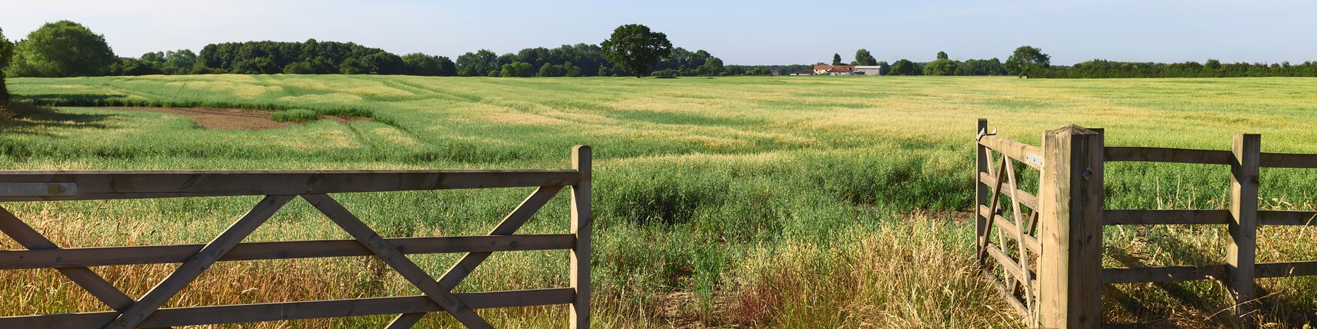 One side of the gate open for someone to access a field on a sunny evening 